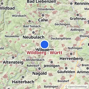 Kartenvorschau Wildberg - Württ