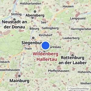 Kartenvorschau Wildenberg - Hallertau