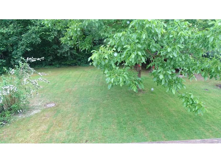 Garten hinterm Haus