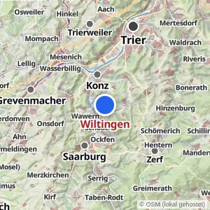 Kartenvorschau Wiltingen