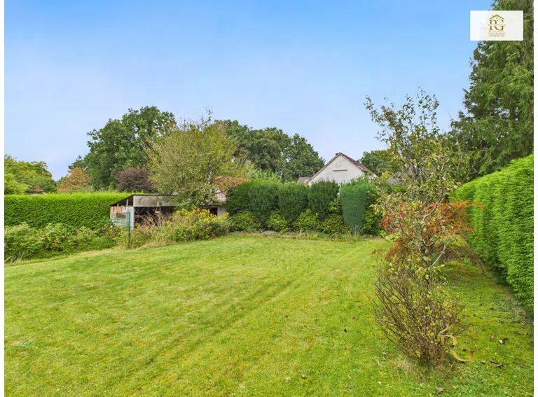 Blick in den Garten