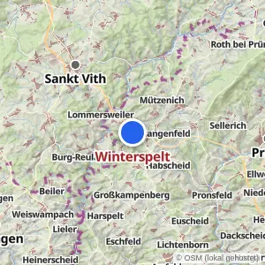 Kartenvorschau Winterspelt