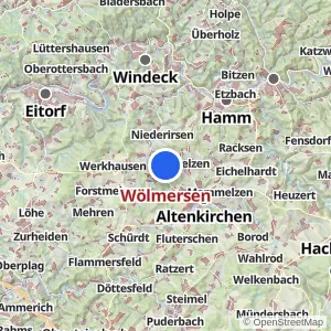 Kartenvorschau Wölmersen