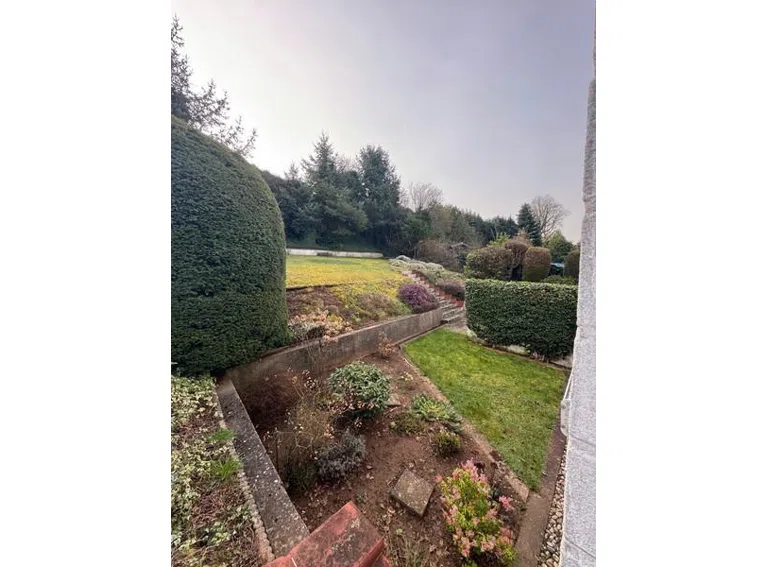 6 Garten