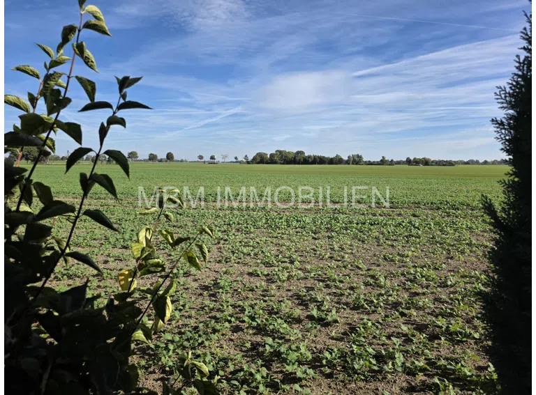Blick vom Grundstück
