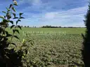 Blick vom Grundstück