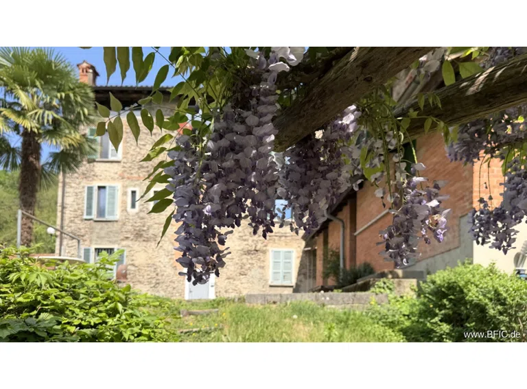Mehrfamilienhaus